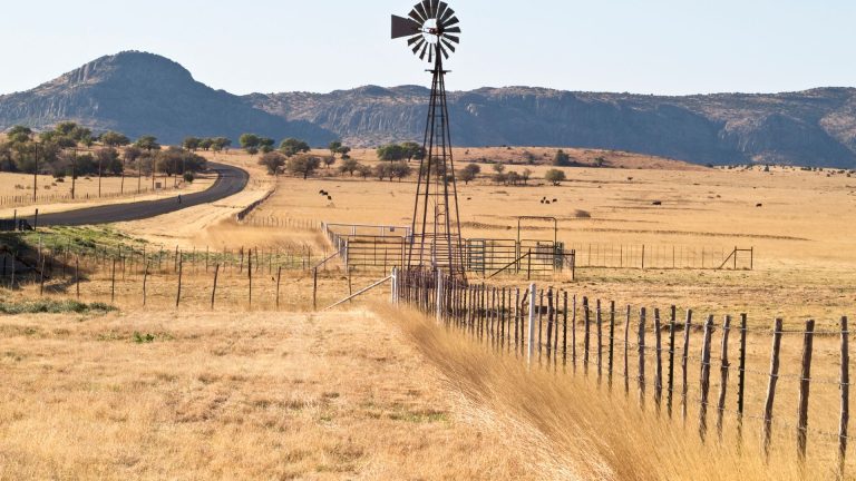 Sam Terrell 2 A metal windmill stands in a dry, yellow field next to a wire fence, with mountains and scattered trees in the background under a clear sky.