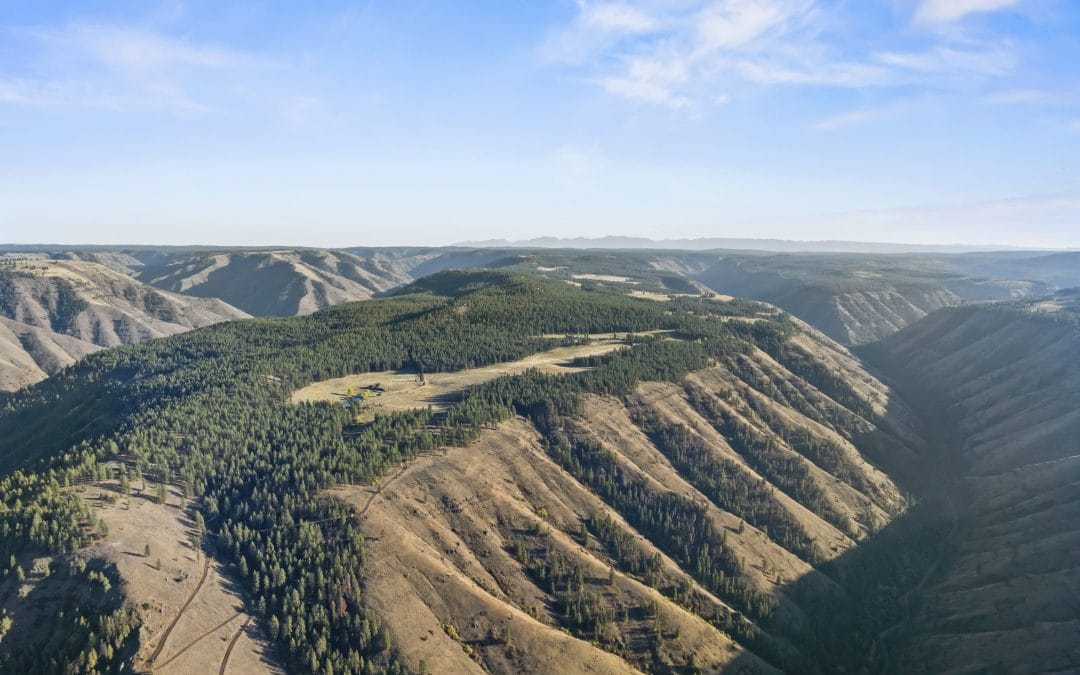 The Fenceline Journal’s Range Report – Demand Strong, Selectivity Rising