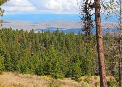 Hidden Valley Horse Ranch