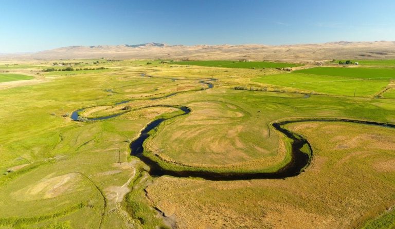 Meadow Grass River Ranch