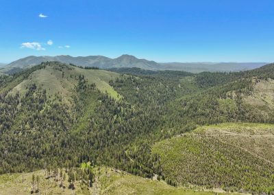 West Fork 640 – Recreational Land for Sale in Baker County Oregon